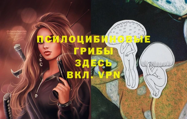 альфа пвп Алексеевка
