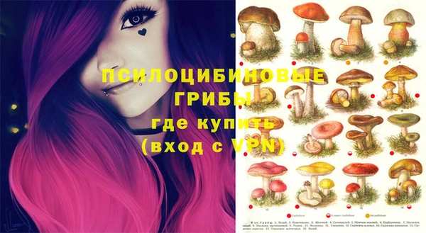 альфа пвп Алексеевка