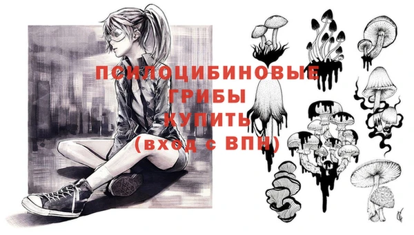 альфа пвп Алексеевка