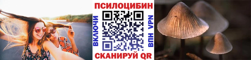 kraken зеркало  купить наркотик  Порхов  Галлюциногенные грибы Cubensis 